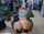 pov gym fitness