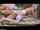 double dildo couple anal