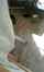 amateur hot amateur couple