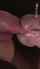blowjob japanese lingerie