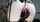 camgirl blonde stripchat
