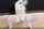 asian panties dancing