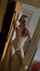 camgirl selfie milf