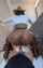 big ass ridind reverse cowgirl