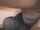 wesley pipes double penetration interracial