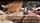 camgirl teen homemade