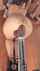 anal dildo huge dildo