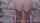 dildo camgirl webcam