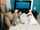 camgirl amateur