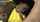 black girl teen blowjob