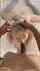 blowjob blonde teen