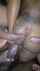 gangbang 3 males aftersex