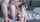 camgirl russian short hari