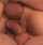 threesome bisexual sex big cocks