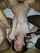 teen gangbang brunette