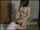 jav amateur big tits