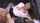 jav piss cuckhold