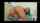 camgirl latina gape