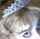 eyes eyeliner blonde