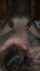 slipted spitroast teen