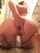anal fingering amateur