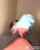 camgirl blonde female