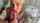 amateur blowjob cumshot