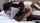 bbc black interracial
