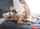 amateur camgirl threesome