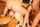 double penetration anal gangbang