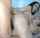 threesome brunette girls