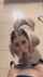 blonde tattoos oral