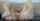 camgirl blond feet