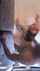 white nerdy girl doggystyle bbc
