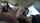 blowjob white girl inside car