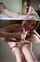 camgirl amateur teen