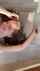 camgirl amateur brunette