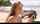 euro babe blacked bikini