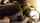 cuckold teen couple