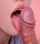 licking licking dick lickjob