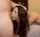 blowjob brunette teen
