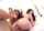 anal enema orgy