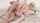 euro bald pussy shaved pussy