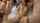 mydirtyhobby big dick exchange