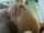 bulgarian blonde amateur