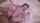jav japanese uncensored