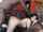 interracial white doggystyle