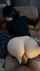 doggystyle backshot pawg