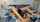 flexible contortionist contortion