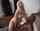 blonde busty bbc